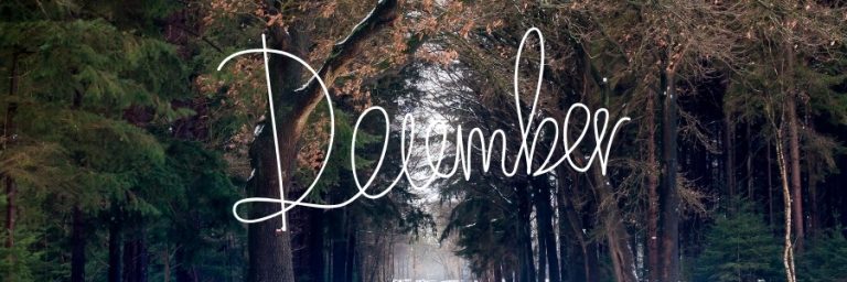 December Quotes and December Sayings