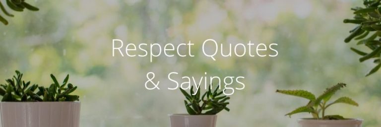 Respect Quotes & Sayings