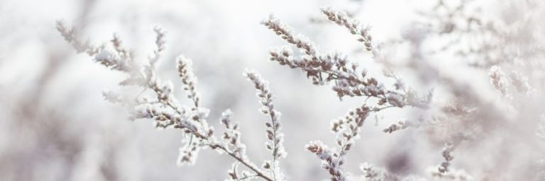 Short Winter Quotes & Sayings