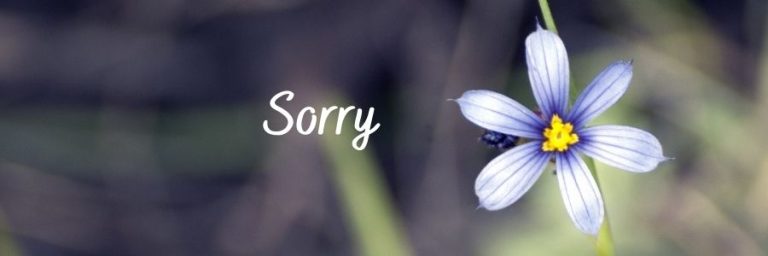 Sorry Messages for Dad – Sorry Dad Quotes